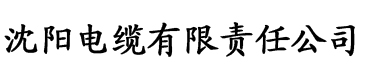 特级毛片免费观看在线电缆厂logo